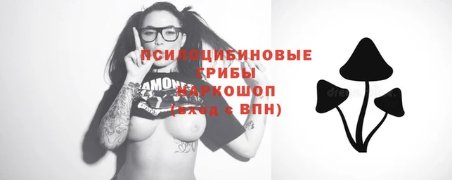 ПСИЛОЦИБИНОВЫЕ ГРИБЫ Вязьма