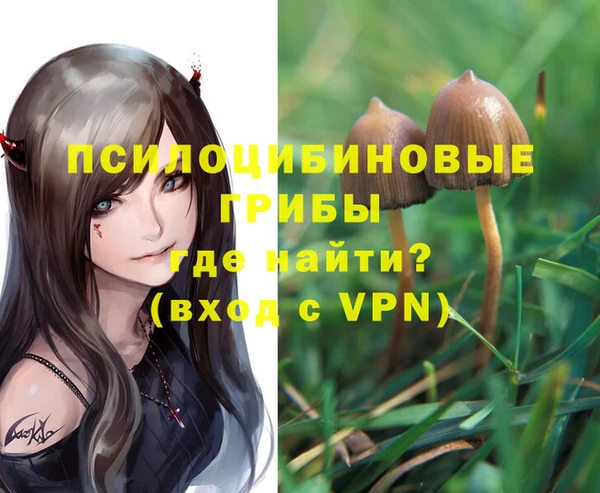 прущие крисы Тутаев