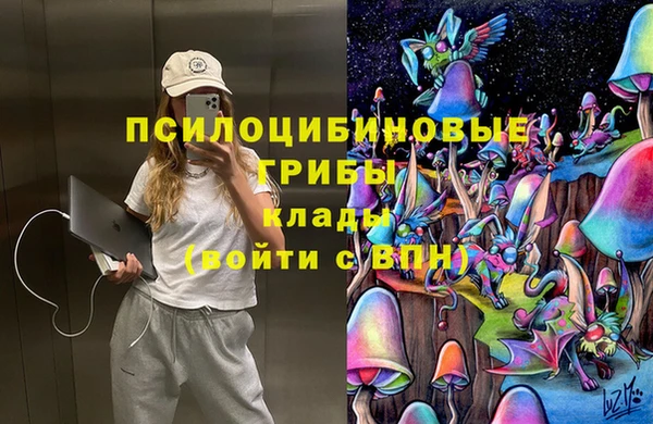 ПСИЛОЦИБИНОВЫЕ ГРИБЫ Вязьма