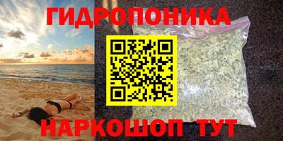 индика Краснознаменск