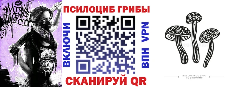 Псилоцибиновые грибы MAGIC MUSHROOMS  Снежинск 