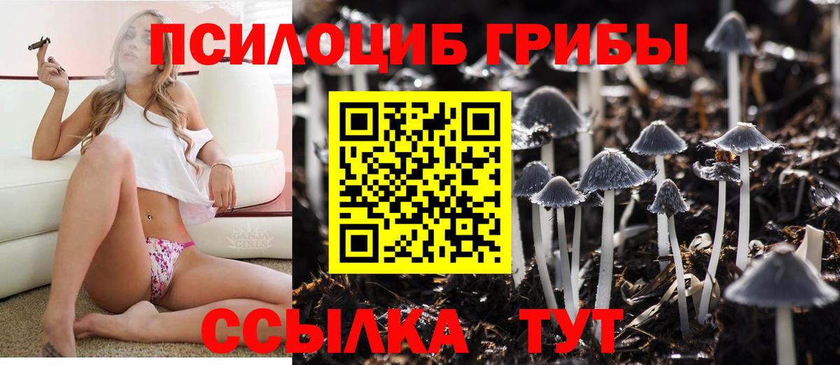 Галлюциногенные грибы Psilocybine cubensis  наркота  Снежинск  Вход с VPN 
